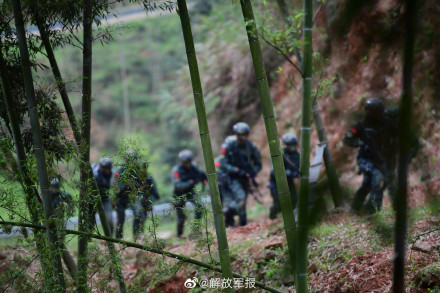 酷图直击！武警特战队员跨昼夜反恐演练