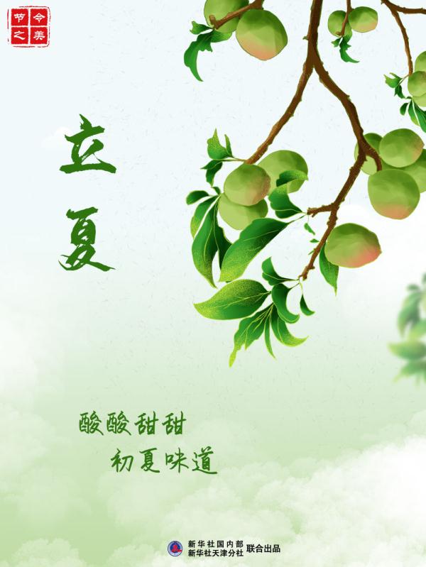 节令之美·立夏丨酸酸甜甜，有一种初夏味道叫青梅