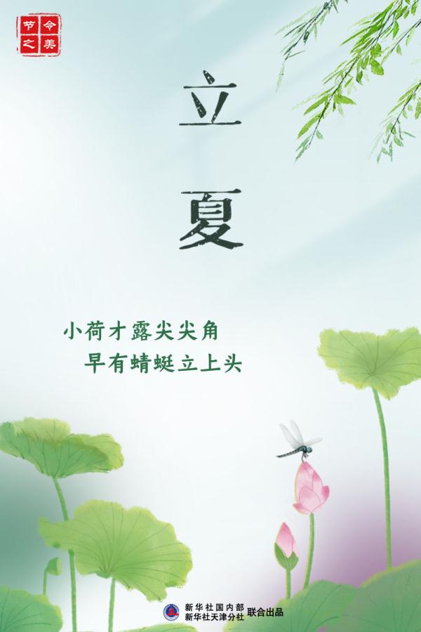 节令之美·立夏丨酸酸甜甜，有一种初夏味道叫青梅