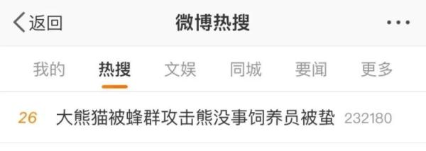 新晋网红“缘小”!靠倒霉火上热搜 新晋网红“缘小”!靠倒霉火上热搜