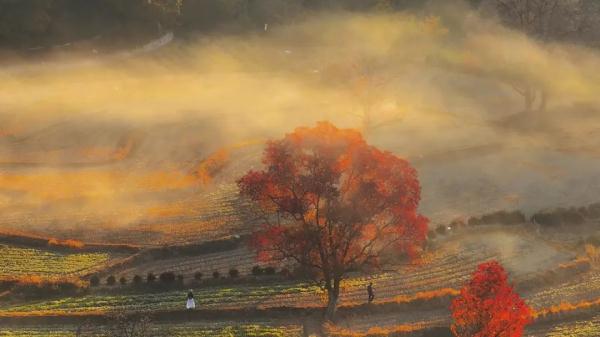 “00后”男孩的小飞机和大世界……