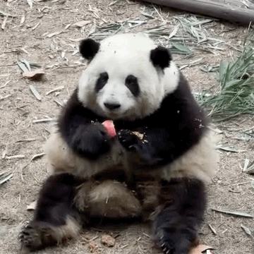 这个五一有多少人去看了花花 这个五一有多少人去看了花花