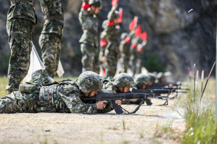 组图直击武警官兵实战化训练 组图直击武警官兵实战化训练