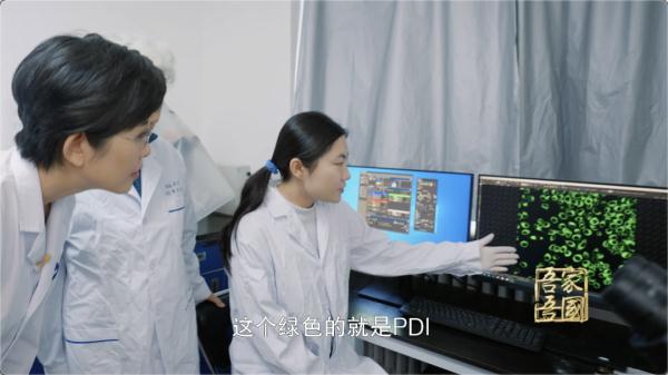 “在实验室里，我才觉得踏实、快乐、幸福”