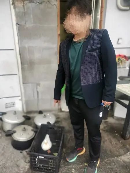 行拘！宠物鸭散步时被掳走，差点成“老鸭煲”……
