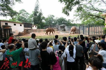 五一假期广州动物园迎客近35万人次