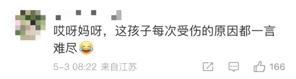 这个五一,明星大熊猫又“惹祸”了 这个五一,明星大熊猫又“惹祸”了