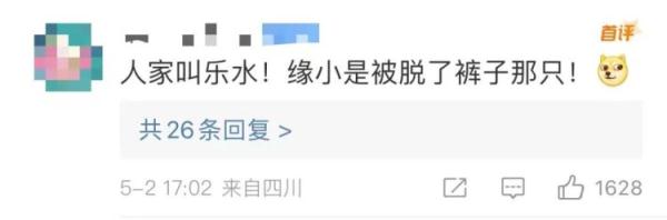 新晋网红“缘小”!靠倒霉火上热搜 新晋网红“缘小”!靠倒霉火上热搜