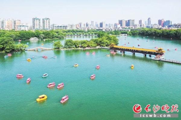 暴涨，暴涨！长沙成绩单公布，网友：果然不用睡觉！