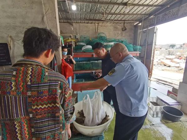 7斤多螃蟹3斤多的绳子!知名旅游城市一海鲜店被查处! 7斤多螃蟹3斤多的绳子!知名旅游城市一海鲜店被查处!