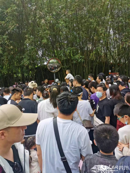 这个五一有多少人去看了花花 这个五一有多少人去看了花花