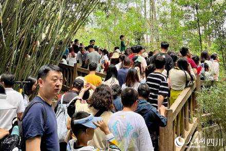 这个五一有多少人去看了花花 这个五一有多少人去看了花花