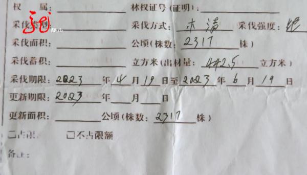 哈尔滨10多棵杨树被人伐倒!“好大哥”人脉广?两男子都被骗了 哈尔滨10多棵杨树被人伐倒!“好大哥”人脉广?两男子都被骗了