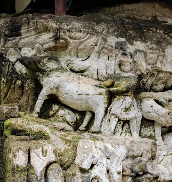 牧牛人“职场进阶史”了解一下