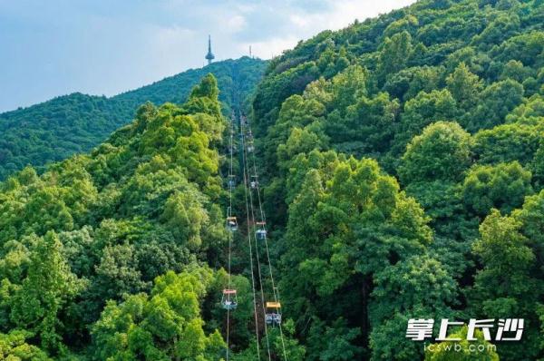 岳麓山索道，后天停运！