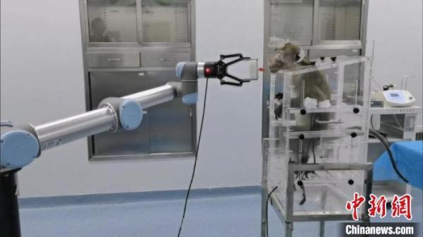 中国完成全球首例介入式脑机接口非人灵长类动物试验