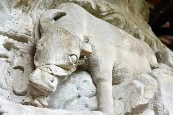 牧牛人“职场进阶史”了解一下