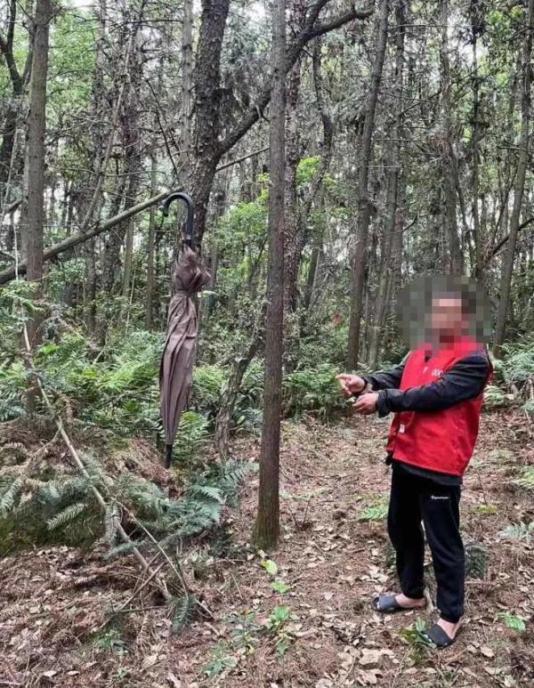 一男子被抓！家中搜出猫头鹰等61只野生鸟类