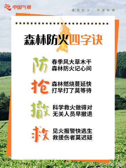 防患于“未燃”!森林防火,这些常识很重要! 防患于“未燃”!森林防火,这些常识很重要!
