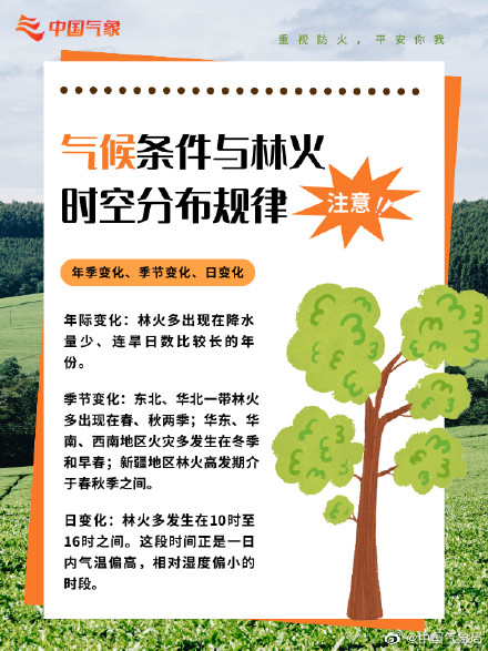 防患于“未燃”!森林防火,这些常识很重要! 防患于“未燃”!森林防火,这些常识很重要!
