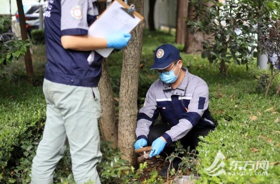 黄梅天来了？上海人最怕的东西已蠢蠢欲动？专家：预计月底集中出现...
