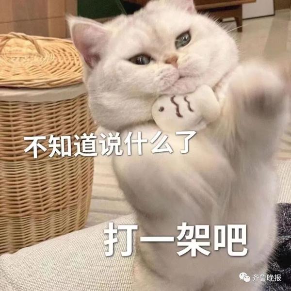 情侣出游七天吵了五次架！评论区成大型吐槽现场……网友：这不是在说我吗