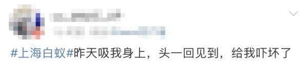 黄梅天来了？上海人最怕的东西已蠢蠢欲动？专家：预计月底集中出现...