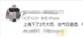 黄梅天来了？上海人最怕的东西已蠢蠢欲动？专家：预计月底集中出现...