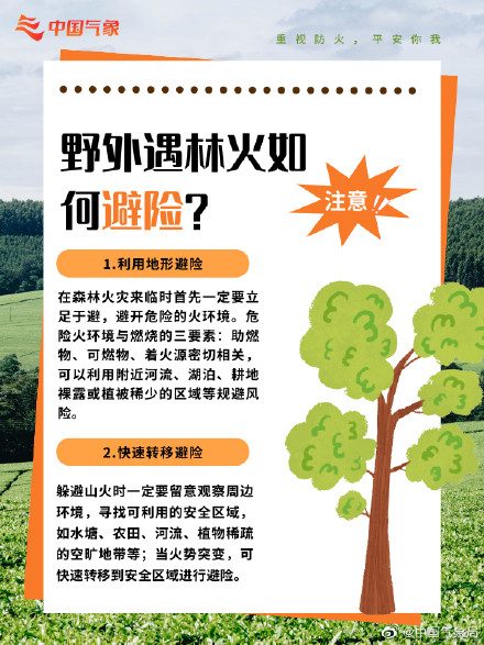 防患于“未燃”!森林防火,这些常识很重要! 防患于“未燃”!森林防火,这些常识很重要!
