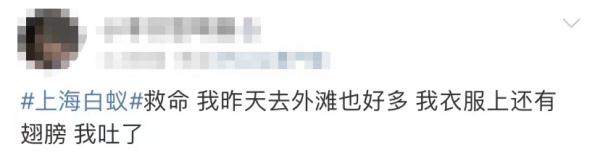 黄梅天来了？上海人最怕的东西已蠢蠢欲动？专家：预计月底集中出现...