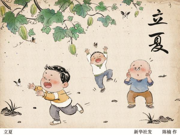 立夏时节已至 可以适当晚睡早起