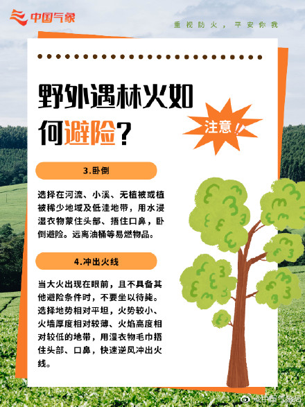 防患于“未燃”!森林防火,这些常识很重要! 防患于“未燃”!森林防火,这些常识很重要!