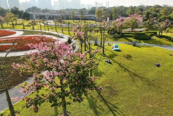 名单来了！广州拟开放73处公园草坪搭帐篷！