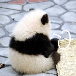 突然暴跌！上海飞三亚只需209元？网友懵了，酒店价格也大跳水→