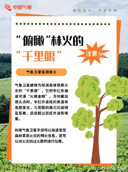防患于“未燃”!森林防火,这些常识很重要! 防患于“未燃”!森林防火,这些常识很重要!