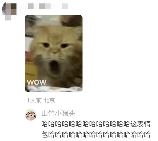 情侣出游七天吵了五次架！评论区成大型吐槽现场……网友：这不是在说我吗