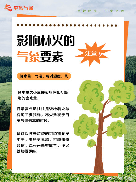 防患于“未燃”!森林防火,这些常识很重要! 防患于“未燃”!森林防火,这些常识很重要!