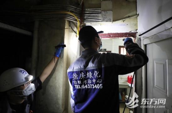 黄梅天来了？上海人最怕的东西已蠢蠢欲动？专家：预计月底集中出现...