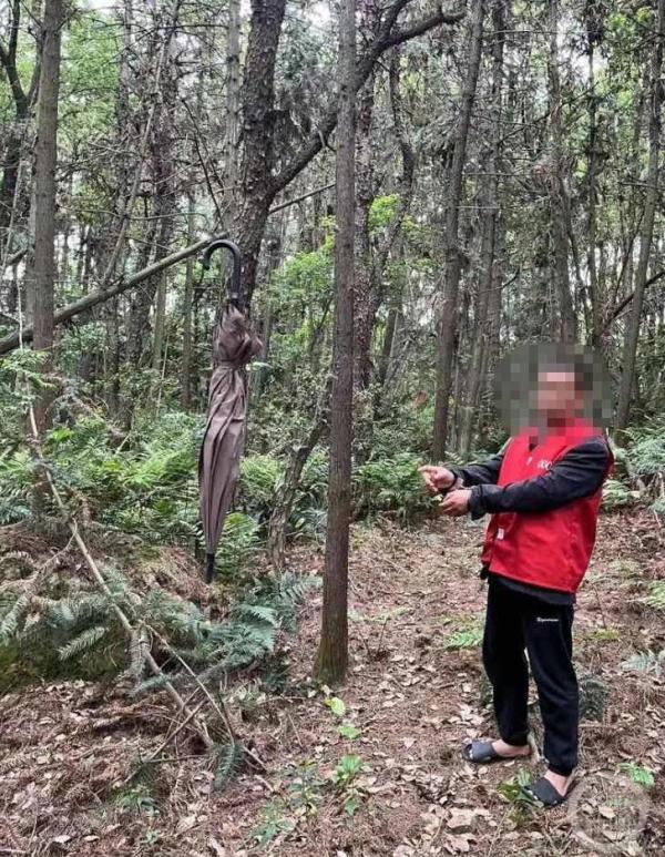 男子家中“咕咕”声引民警警觉：搜出野生猫头鹰和几十只死鸟