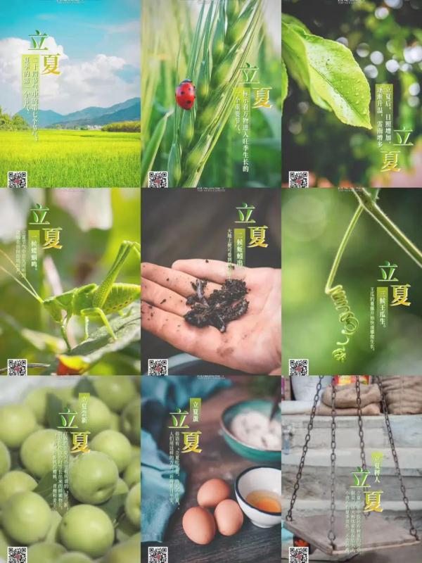 今天立夏,为何要称重? 今天立夏,为何要称重?