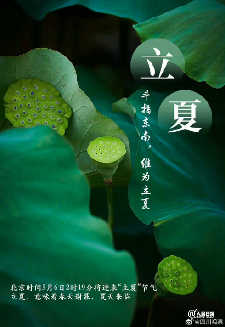 今日立夏!夏天藏不住了