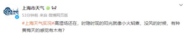 黄梅天来了？上海人最怕的东西已蠢蠢欲动？专家：预计月底集中出现...