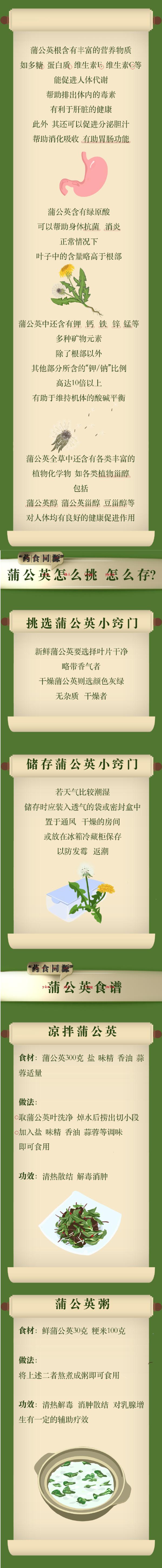 它被称为“天然下火草”，常吃延缓衰老，路边可能就有！