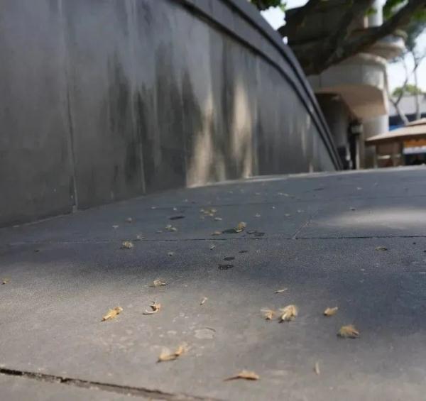 危险! 当心成都空气中这种东西 危险! 当心成都空气中这种东西