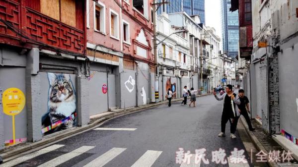 上海有条老街被猫咪“占领”了?这些“猫主子”的故事萌萌哒 上海有条老街被猫咪“占领”了?这些“猫主子”的故事萌萌哒