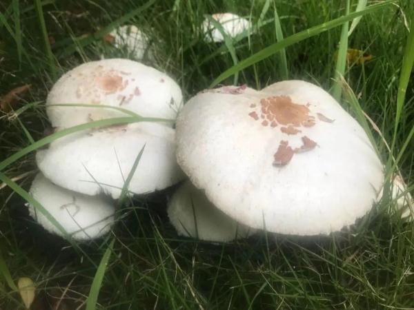 紧急提醒！发现这个，千万不要碰
