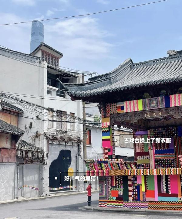 上海有条老街被猫咪“占领”了?这些“猫主子”的故事萌萌哒 上海有条老街被猫咪“占领”了?这些“猫主子”的故事萌萌哒
