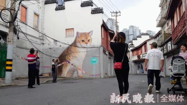 上海有条老街被猫咪“占领”了?这些“猫主子”的故事萌萌哒 上海有条老街被猫咪“占领”了?这些“猫主子”的故事萌萌哒