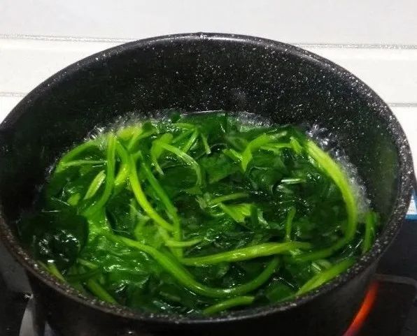 �⼸���߲˻��Դ������ء�����ǰ������ˮ��������������