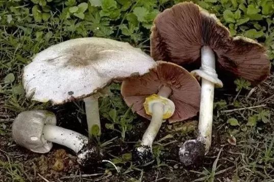 紧急提醒！发现这个，千万不要碰